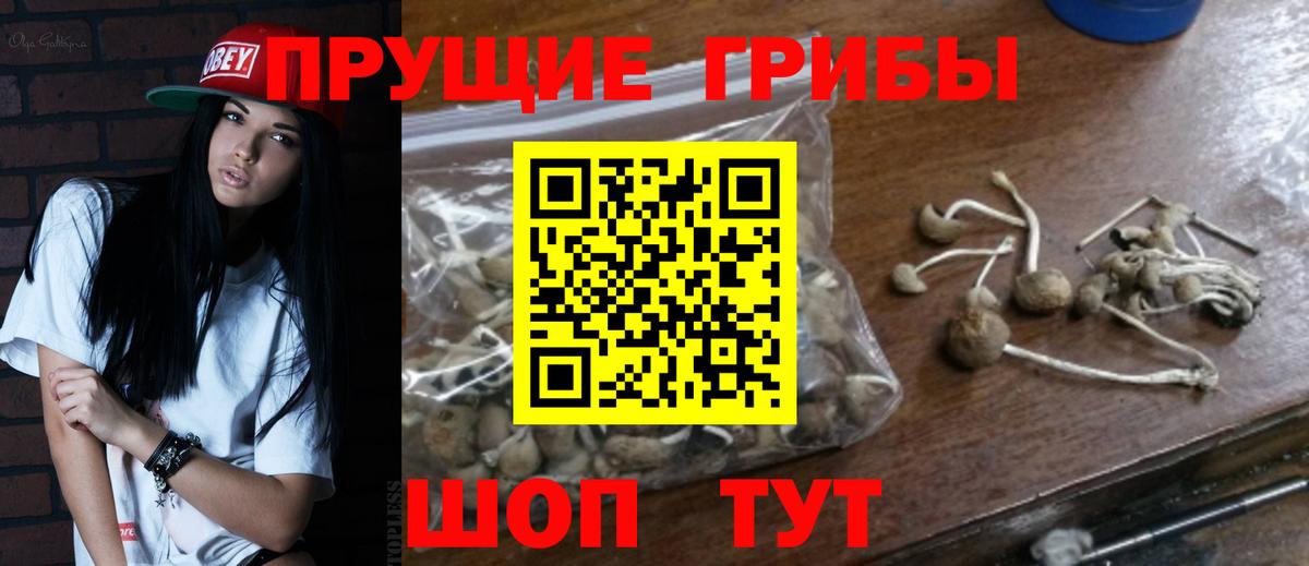 Галлюциногенные грибы мухоморы Советск